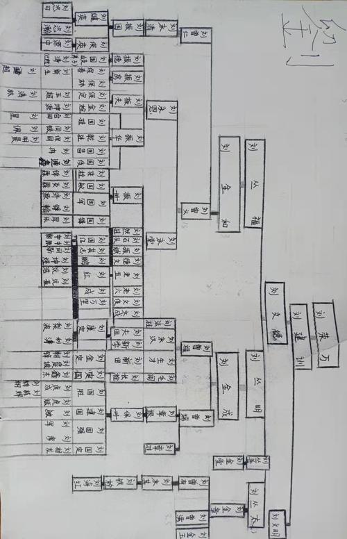 3.刘源中同学绘制的家谱