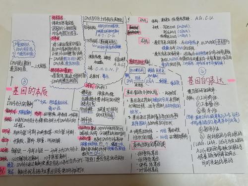 3.王佳佳同学提交的生物概念图