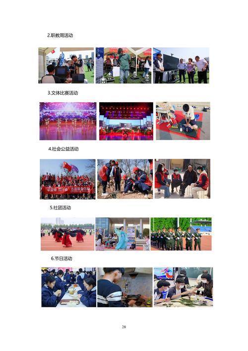 主体研究报告_28